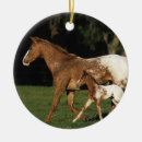 Search for appaloosa horse christmas tree decorations Equestrian