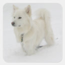 Search for eskimo dog stickers Puppy