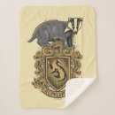 Search for slytherin decor Gryffindor