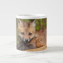 Search for red fox mugs Nature