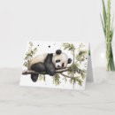 Search for panda birthday cards Green