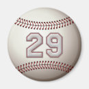 Search for battered magnets Hitter
