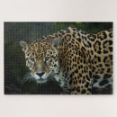 Search for jaguar puzzles Animals