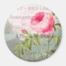 Search for accent magnets Rose