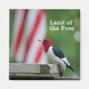 Search for bird watching magnets Birding