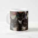 Search for white kitten mugs Pet