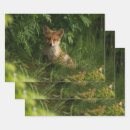 Search for baby fox wrapping paper Woodland