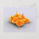 Search for medium group of objects postcards No people