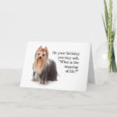 Search for yorkshire terrier dog birthday cards Pets