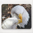 Search for beak mousepads Avian