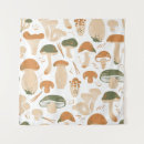 Search for edible mushrooms posters Illustration