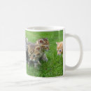 Search for small kitten mugs Cute cats