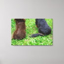 Search for long haired dachshund art Sitting