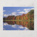 Search for red leaf postcards Beautiful