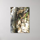 Search for patch photography Nature