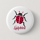 Search for ladybird badges Insect