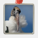Search for square premium christmas tree decorations Animal