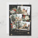 Search for holly and berries christmas cards Poinsettia