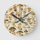 Search for food clocks Fungi