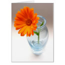 Search for botany photography Floral
