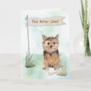 Search for norfolk cards Terrier