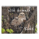 Search for raccoon calendars Owl