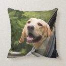 Search for labrador cushions Puppy
