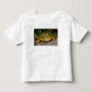 Search for bullfrog tshirts Burrowing