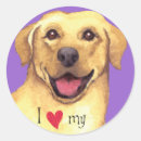 Search for lab” stickers Yellow lab