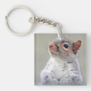 Search for soft key rings Rodent