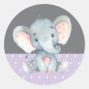 Search for animal envelope seals It's a girl