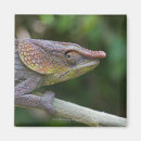 Search for chameleon magnets Wildlife