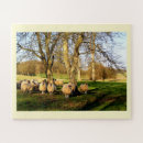Search for sheep puzzles Countryside