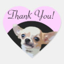 Search for dog thank you stickers Chihuahua