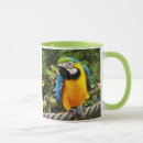Search for macaw mugs Bird