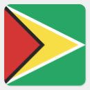 Search for guyana stickers World flags