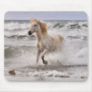 Search for wild stallion mousepads Camargue