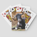 Search for goat playing cards Farms