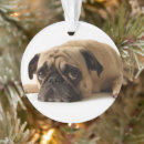Search for pug holiday christmas tree decorations Animal