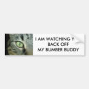 Search for cat eyes bumper stickers Car