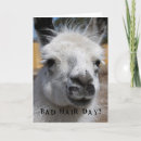 Search for bad attitude Animals