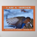 Search for birder posters Nature photography