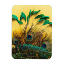 Search for peacock rectangular magnets Wildlife