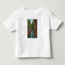 Search for chasm tshirts Chesterfield