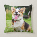 Search for pembroke welsh corgi cushions Pets