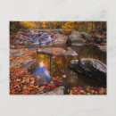 Search for shenandoah national park postcards Fall