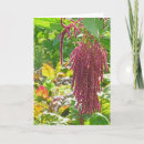 Search for lis photography Floral