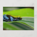 Search for will be toad postcards Close up