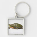 Search for turtle shell key rings Cold blooded