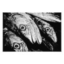 Search for four eyes art Animal